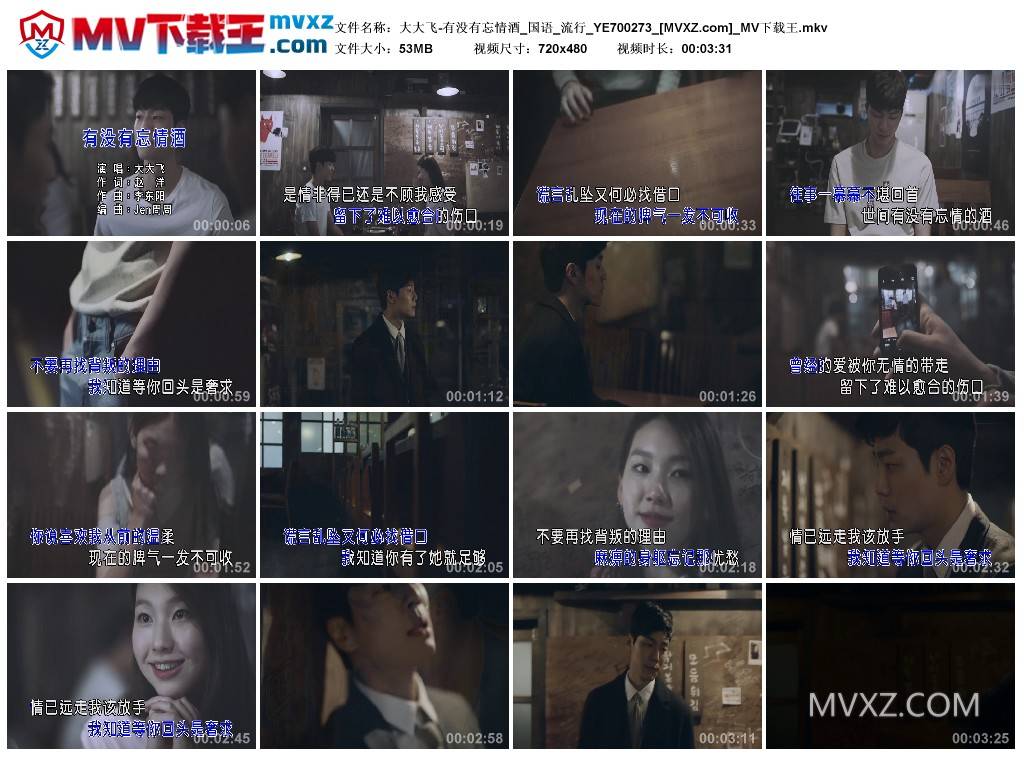 大大飞-有没有忘情酒_国语_流行_YE700273